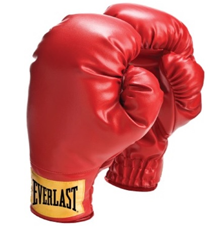 картинка Перчатки Boxing от магазина Everlast в России