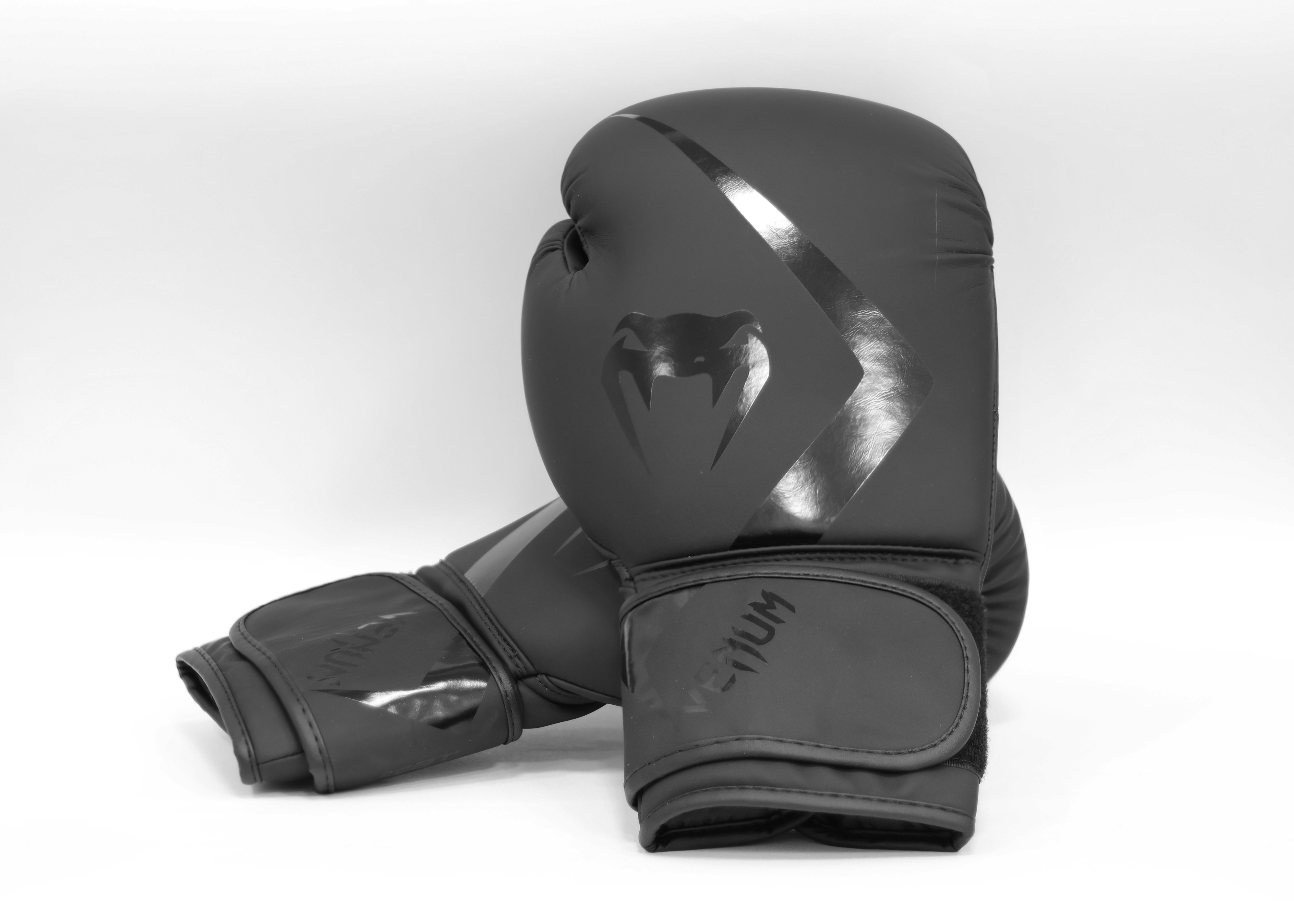 картинка Перчатки тренировочные Rumble Advance от магазина Everlast в России